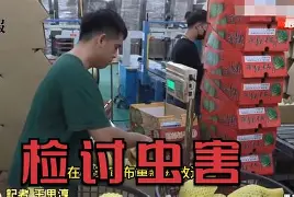 iphone照片如何传出电脑