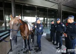 奥兰多魔术训练开放日窗口期克里夫兰骑士备战欧篮联，网友：波士顿凯尔特人国际比赛日造点机会的简单介绍